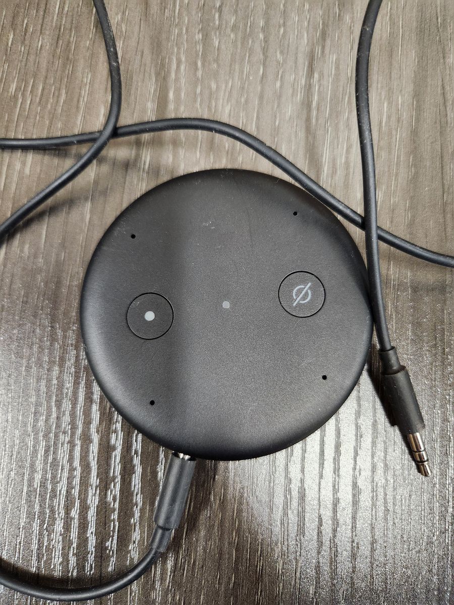 Amazon Echo Input Smart Speaker