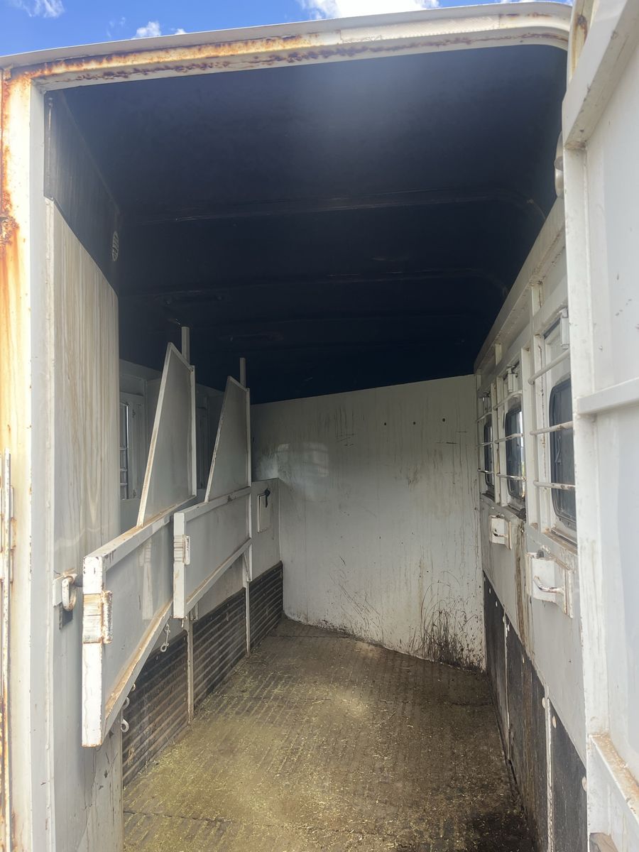 Main image 12