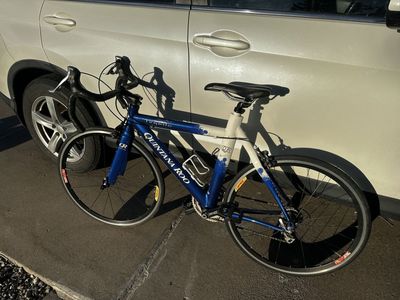 Quintana Roo Road Bike Kids or Small Adult