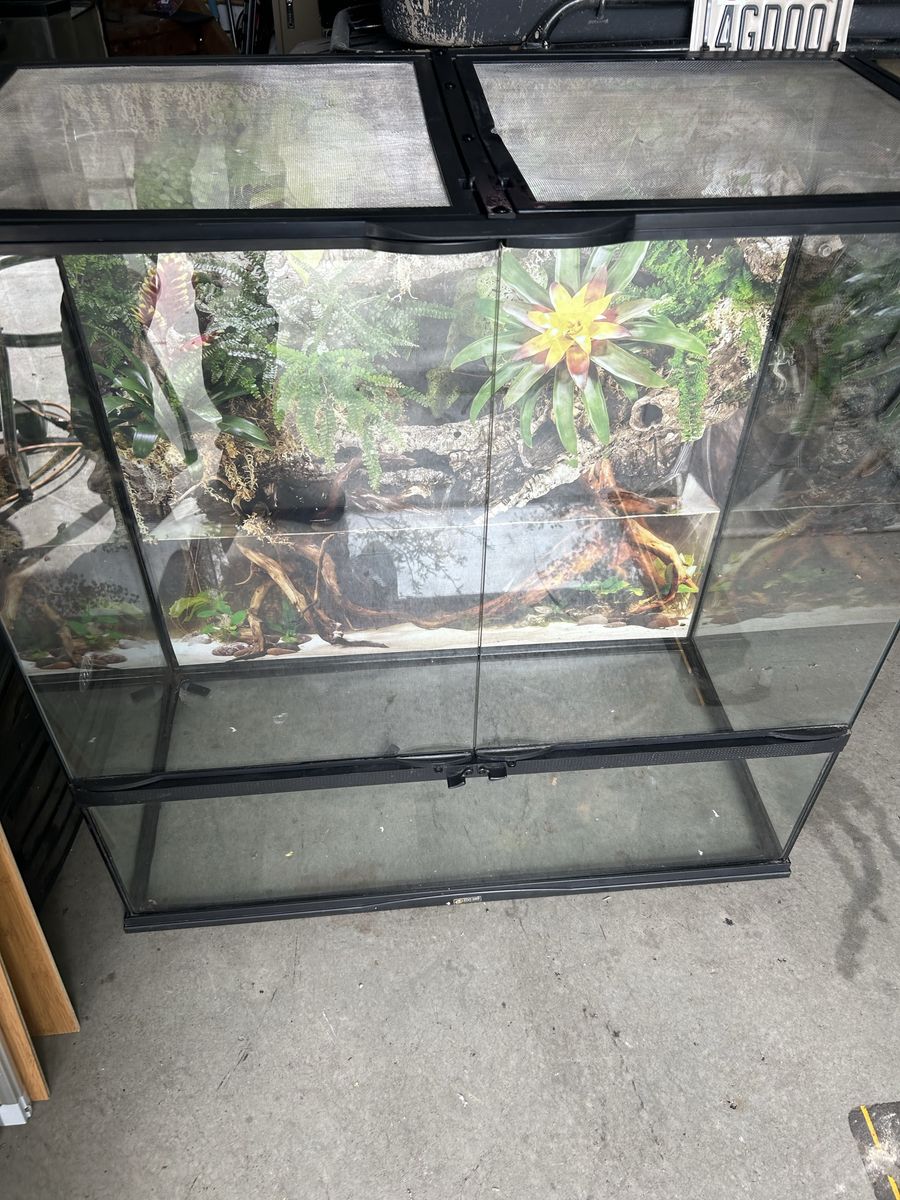 Zoomed tank
