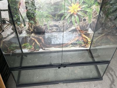 Zoomed tank