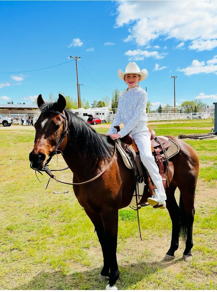 16 Year old Bay Mare