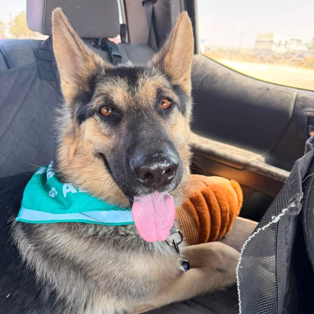 Hello my name is Kaiser