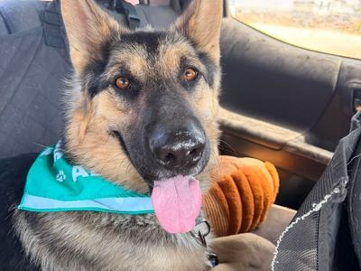 Hello my name is Kaiser