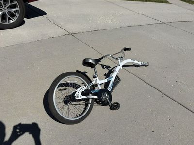 Wee Ride Co-Pilot Tag Along Kids Bike