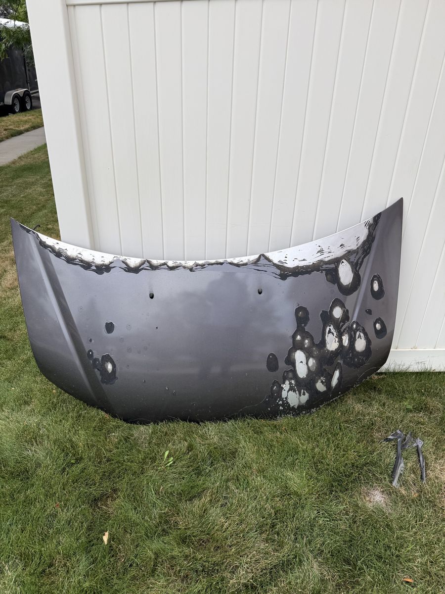 Honda Odyssey Hood