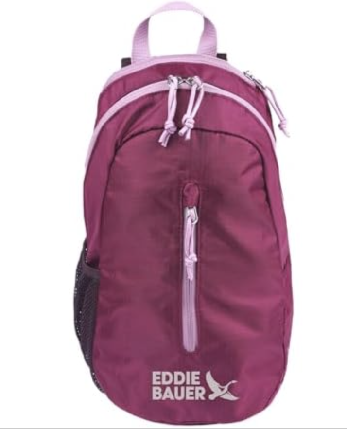 NEW: Eddie Bauer 10L Sling Bag