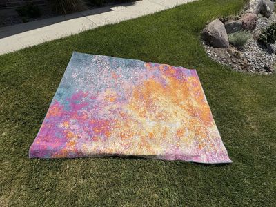 Nourison Passion Collection 100% polyester 5" x 7" rug $60 cash/venmo in Draper