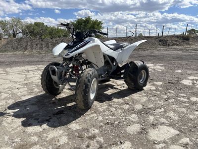 2008 Honda TRX 250EX