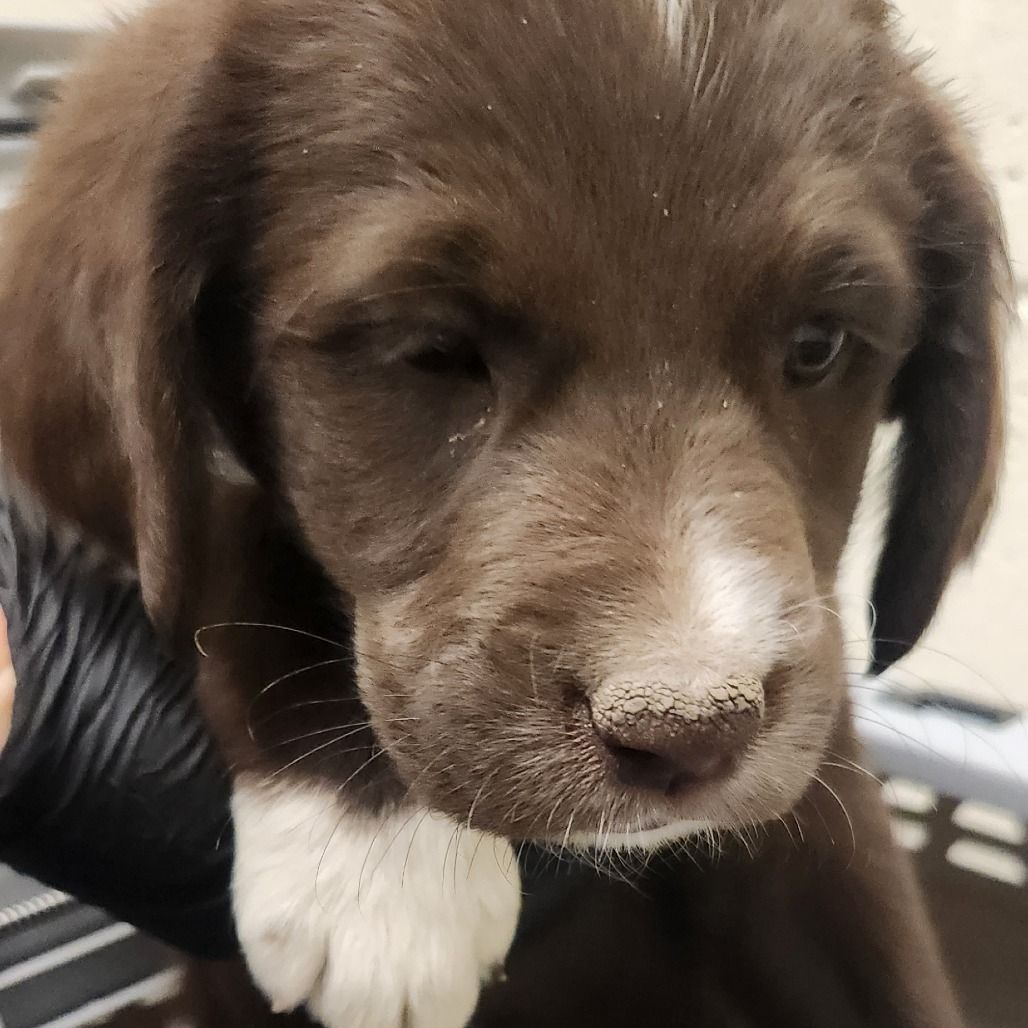 Hello my name is Rogue