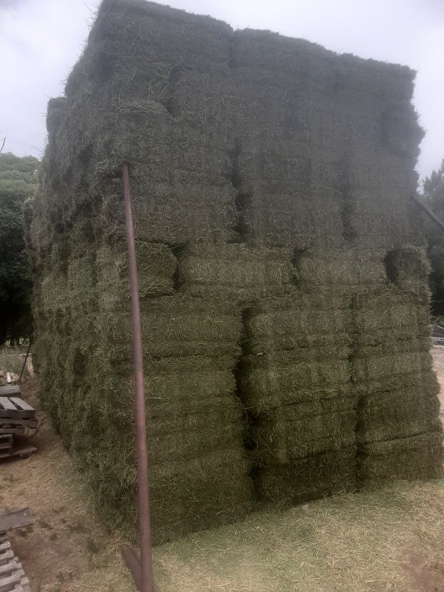 Main image 3
