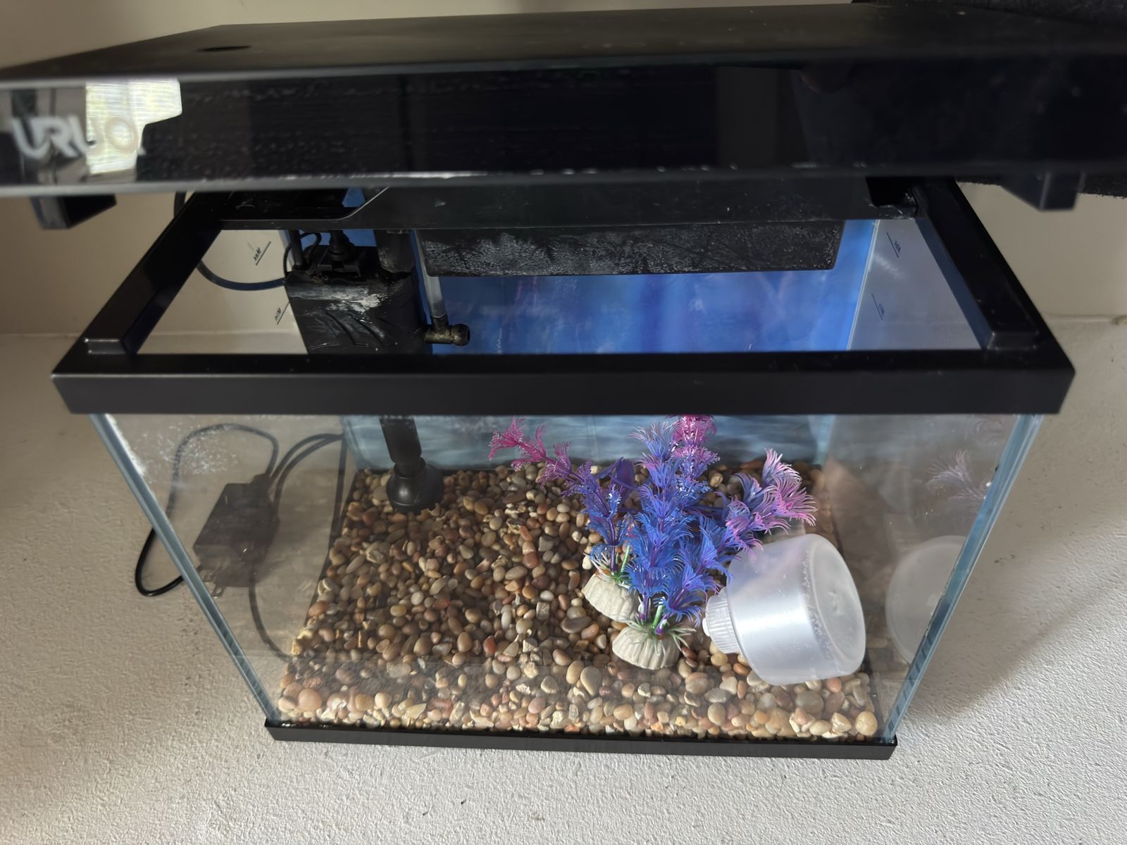 URUG 2 Gallon Fish Tank Aquarium with Light and Filter - Used (Good Condition)