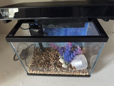 URUG 2 Gallon Fish Tank Aquarium with Light and Filter - Used (Good Condition)