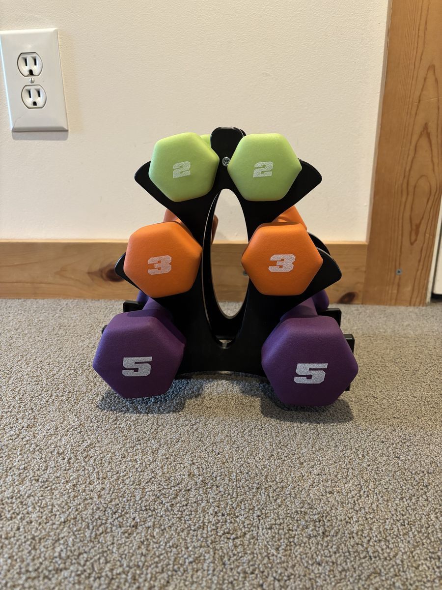 Dumbbell Set with Rack - 20 lbs total