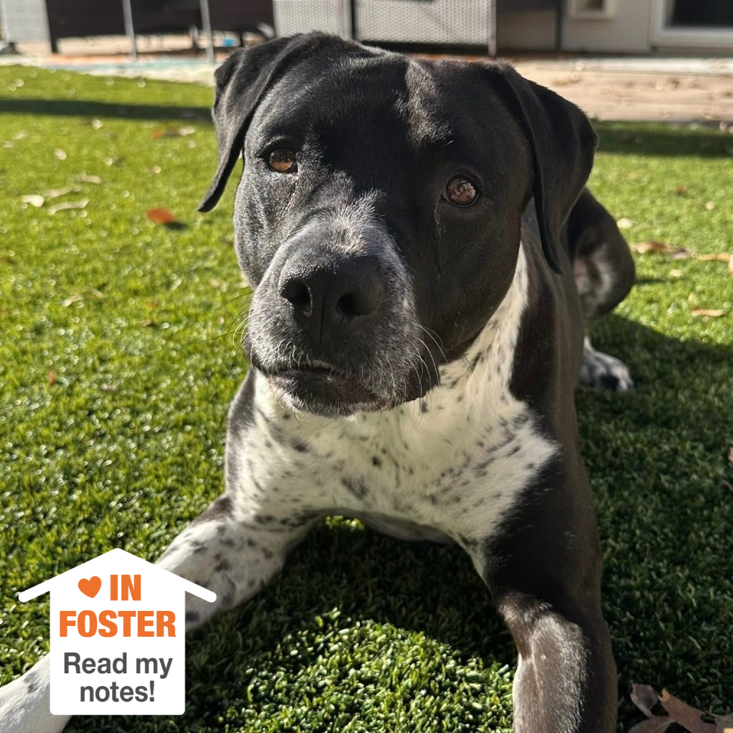 Hello my name is Bebe