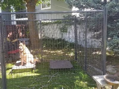 PRIEFERT Professional Grade Premier 10 x 10 Dog Kennel