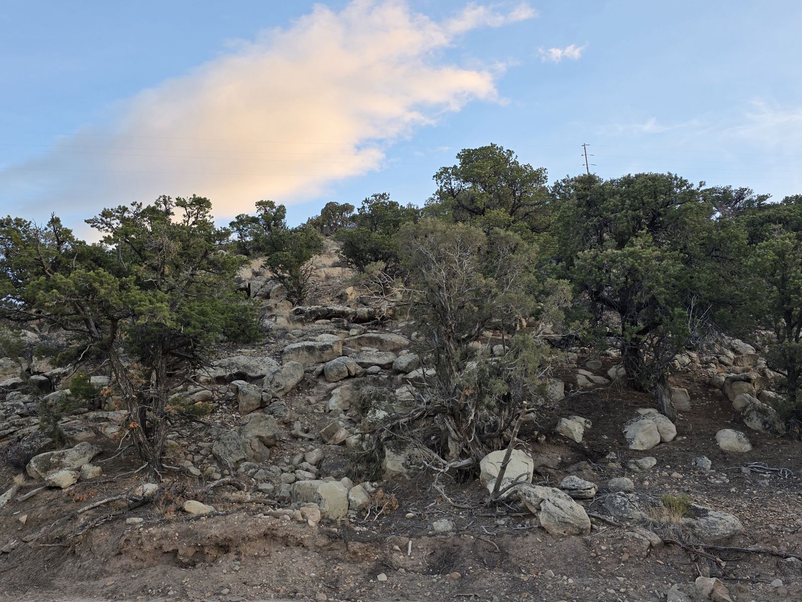 Main image 17