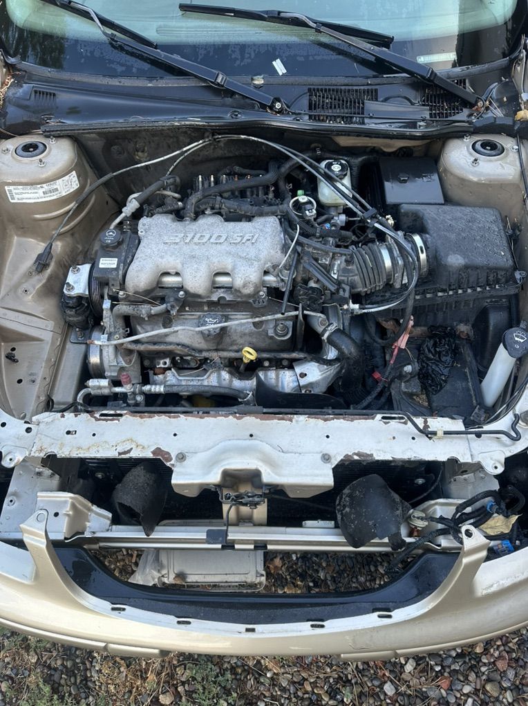 Main image 6