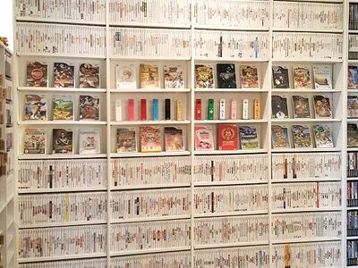 Wii/WiiU Modding Service!