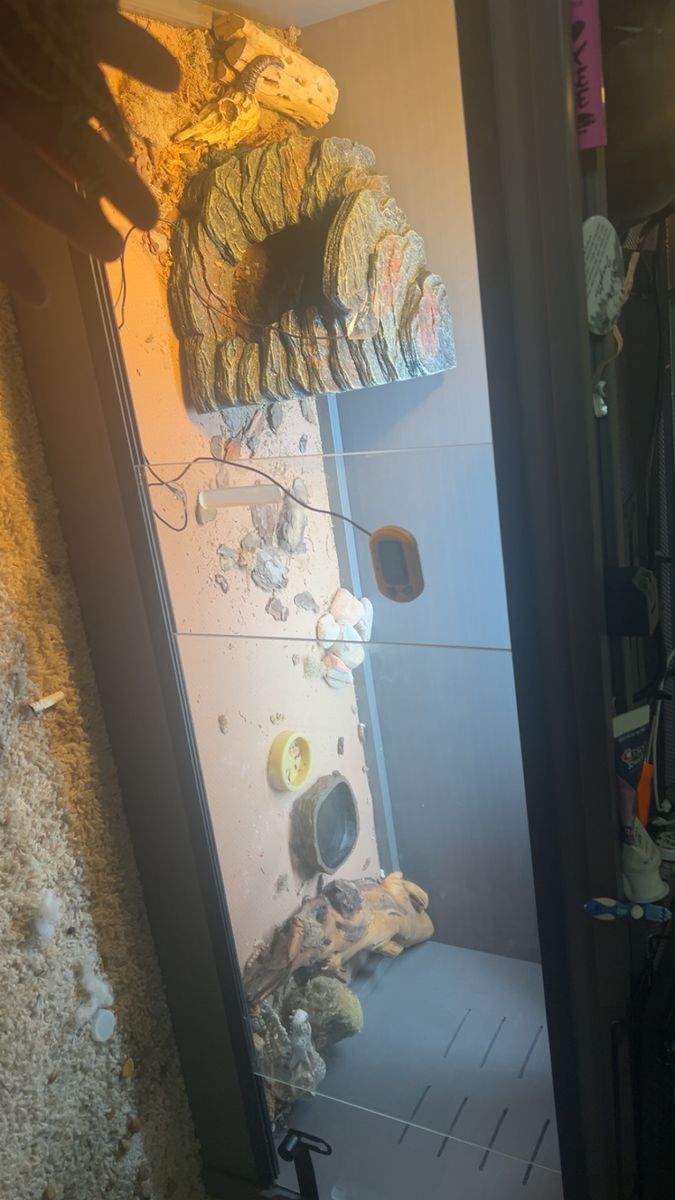 Main image 3