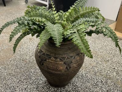 Artifical fern