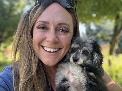 Toy Poodle Stud - Merle, 8#, kyky