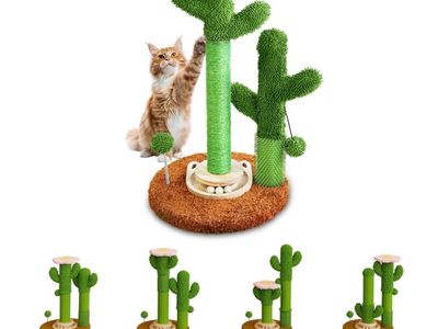 Cactus cat scratch post