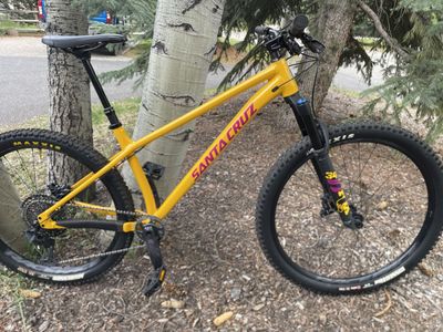Santa Cruz Chameleon - Large/MX - S build