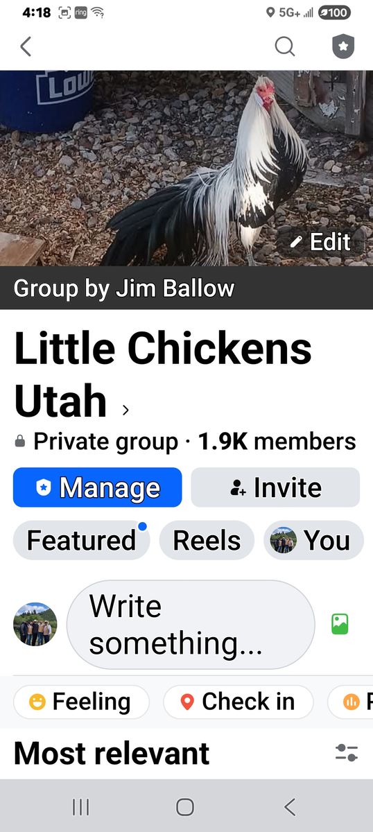 Little chickens utah on Facebook. For small breeds only join us