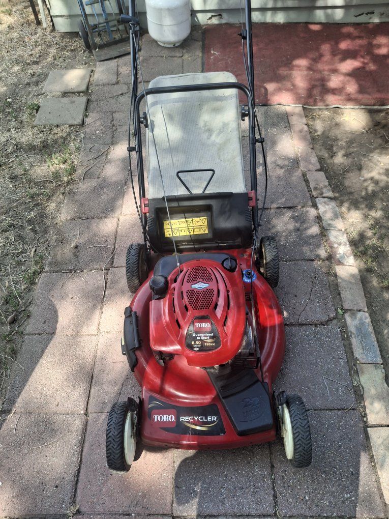 Toro Recycler 22" 6.75 HP Self-Propelled Gas Walk-Behind Push Lawn Mower with Bag
