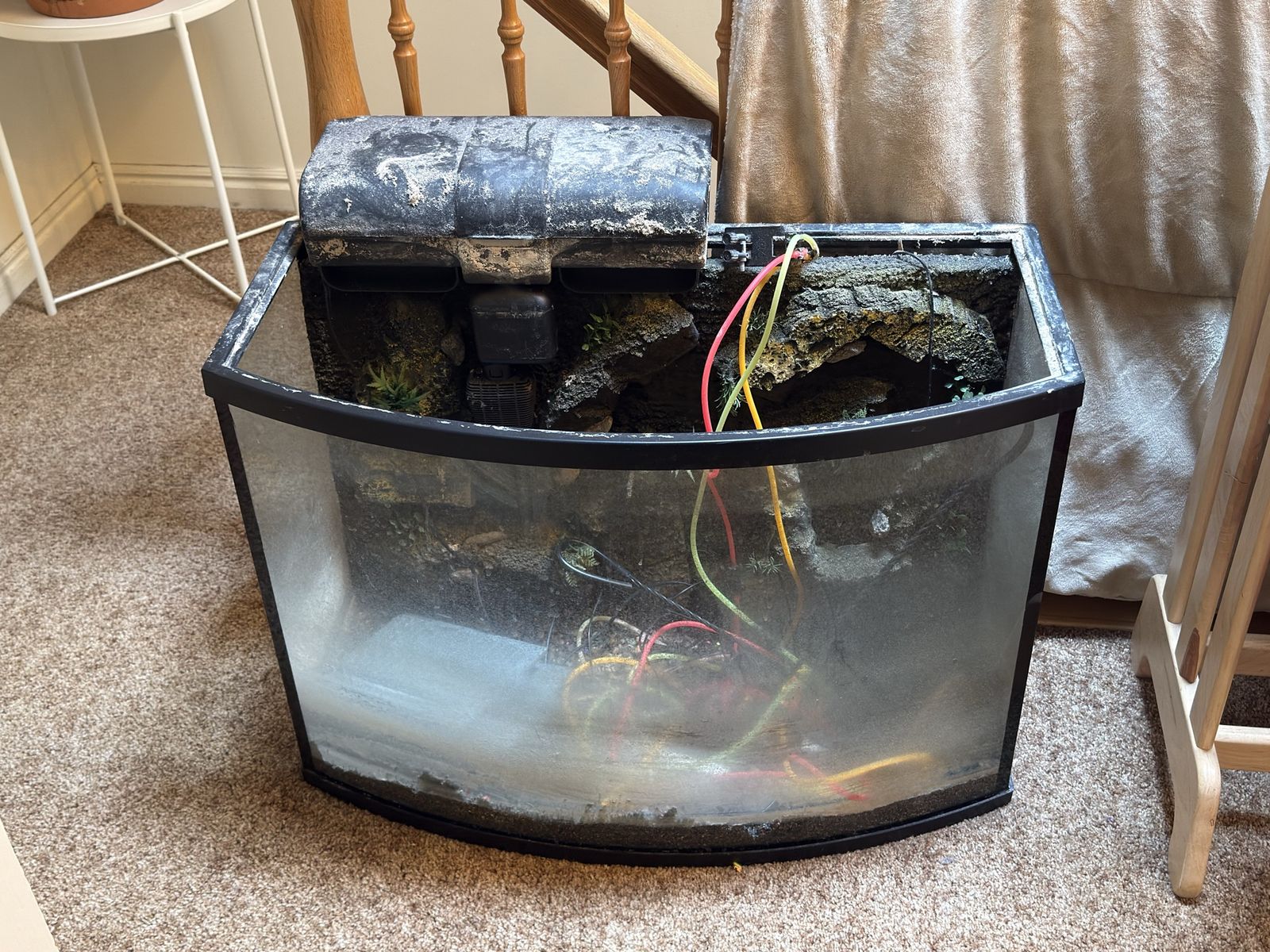 36 gallon bow front custom 3D background tank with everything needed to start it. Comes with heater, air pump and filtration.