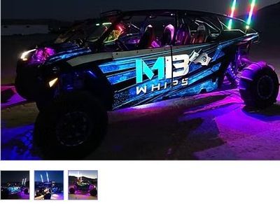MB Whips 4 foot Flash Whip with Bluetooth Remote