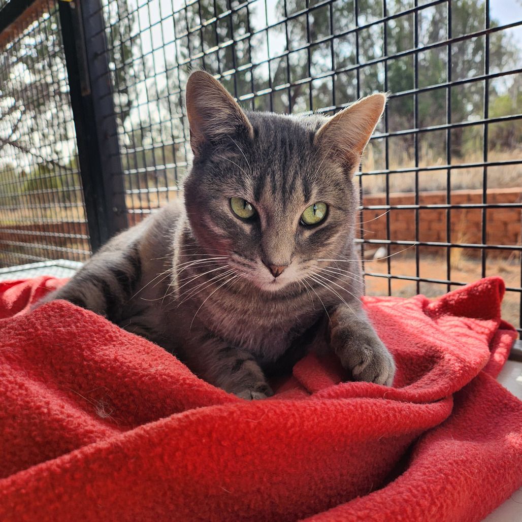 Main image 8