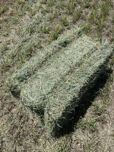 Alfalfa Hay bales