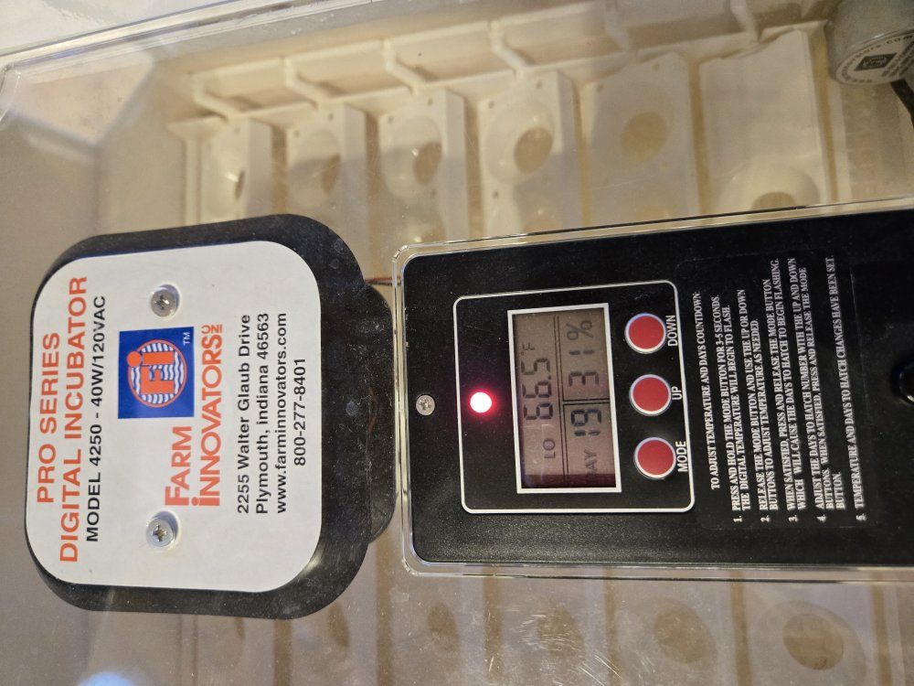 Farm Innovators poultry egg incubator