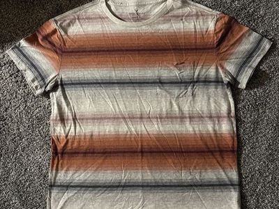 American Eagle Outfitters Men's Large Soft Classic Fit Striped T-Shirt