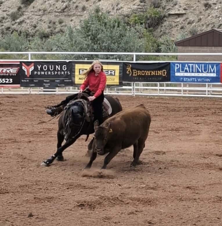 Reining Cow horse/Barrels