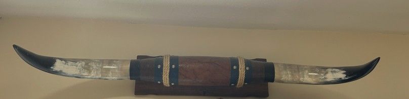 REAL TX long horn/steer horn 37"L