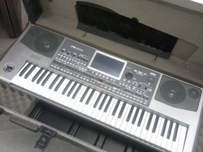KORG Pa800 Professional Arranger Keyboard (in flight case):