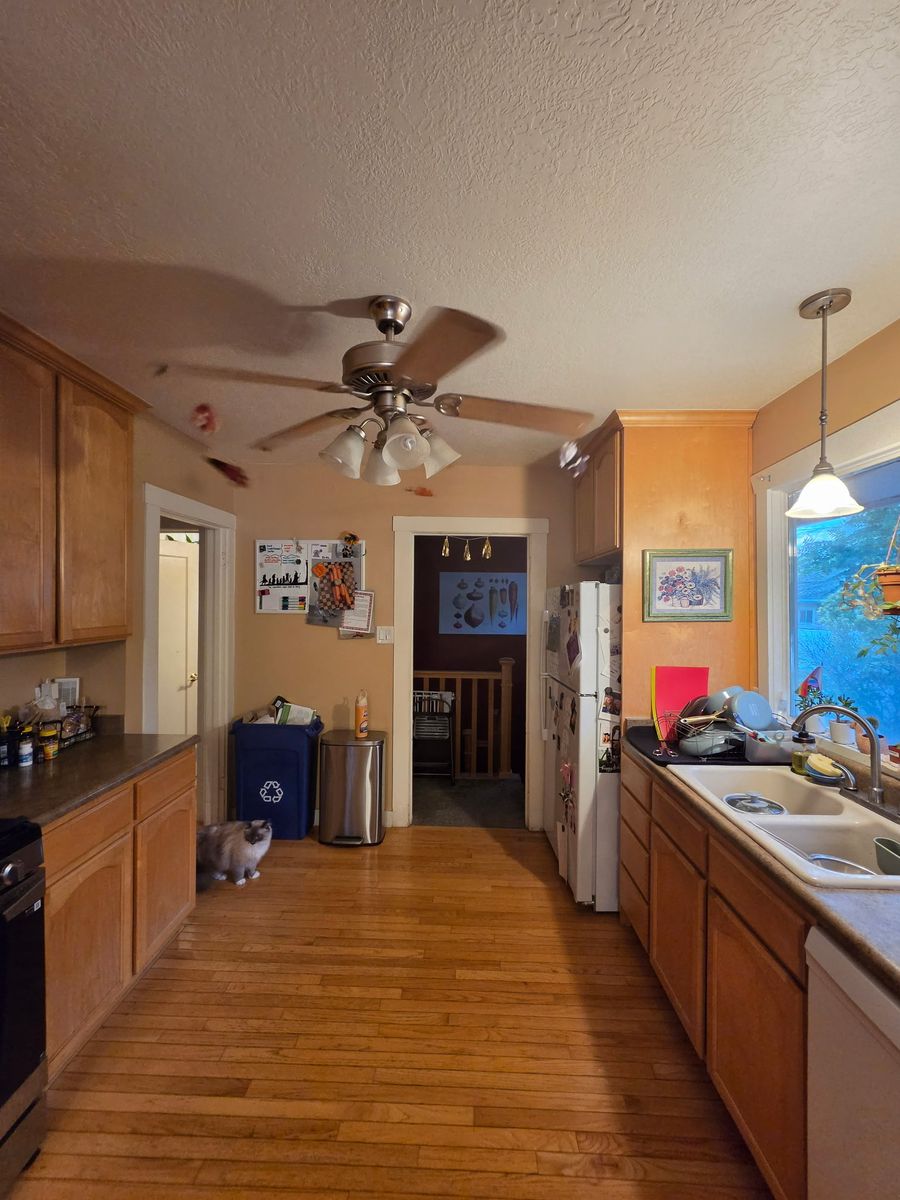 Main image 3