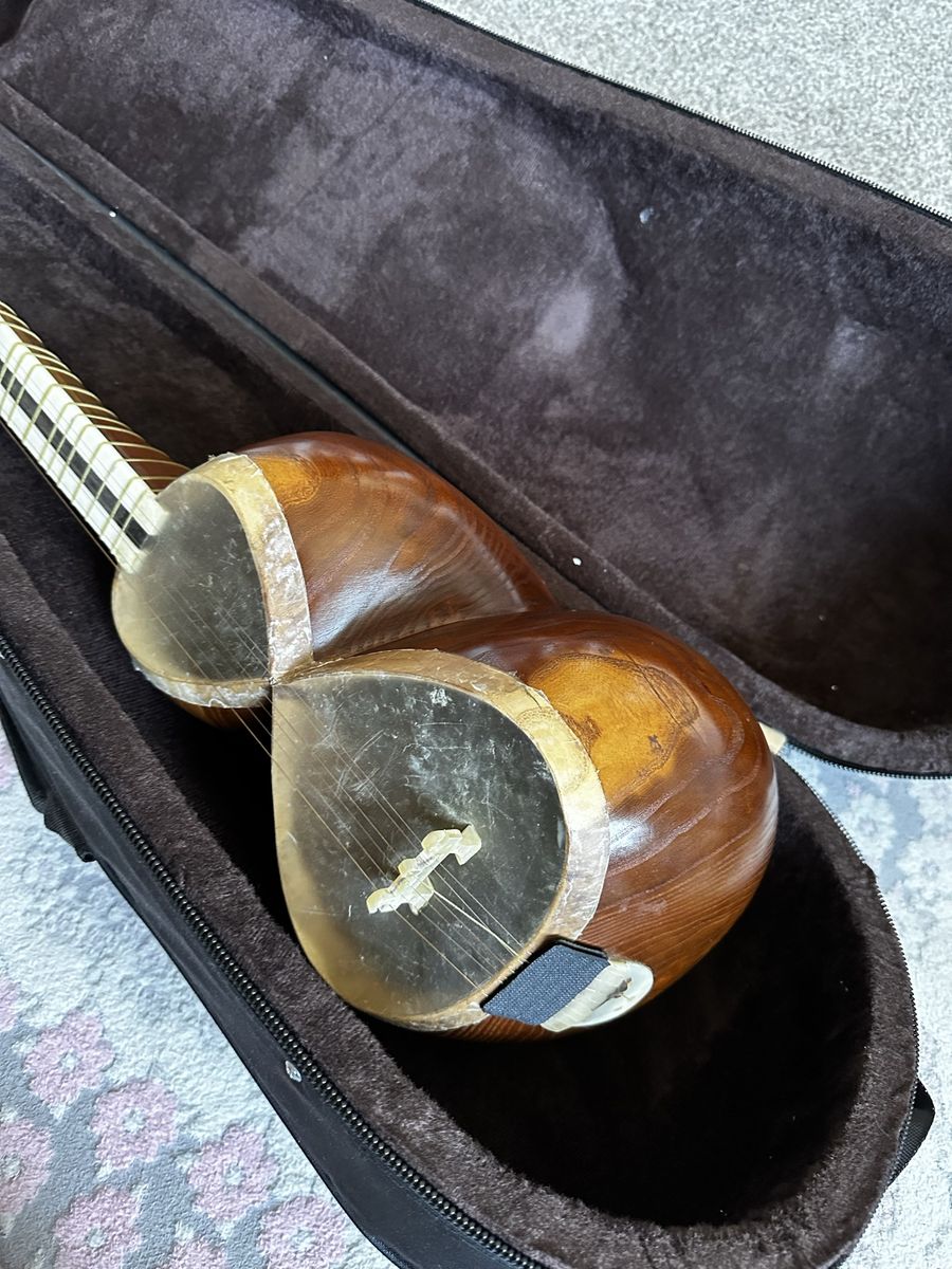Persian tar