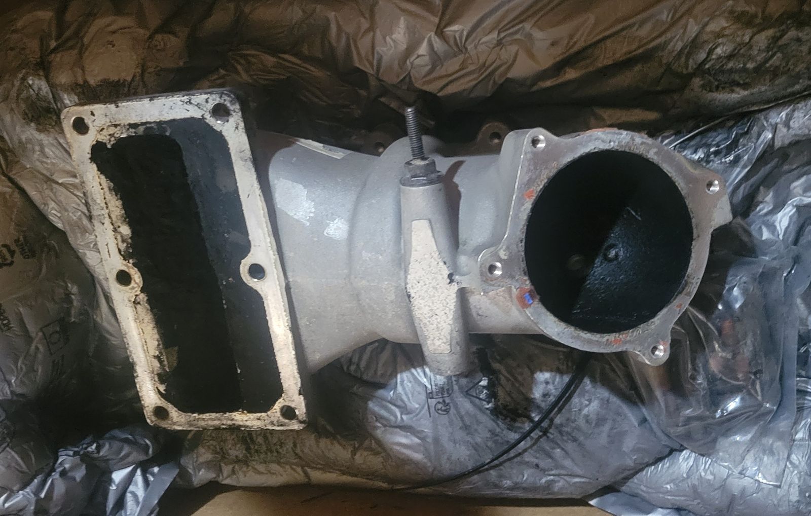 Main image 4