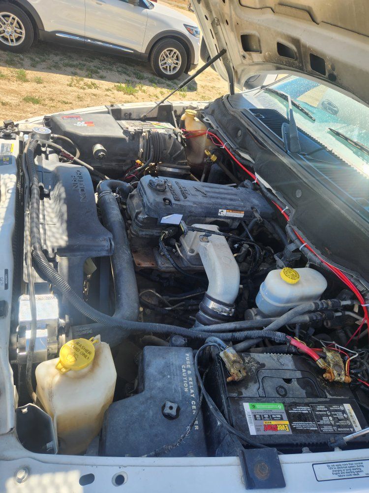 Main image 12