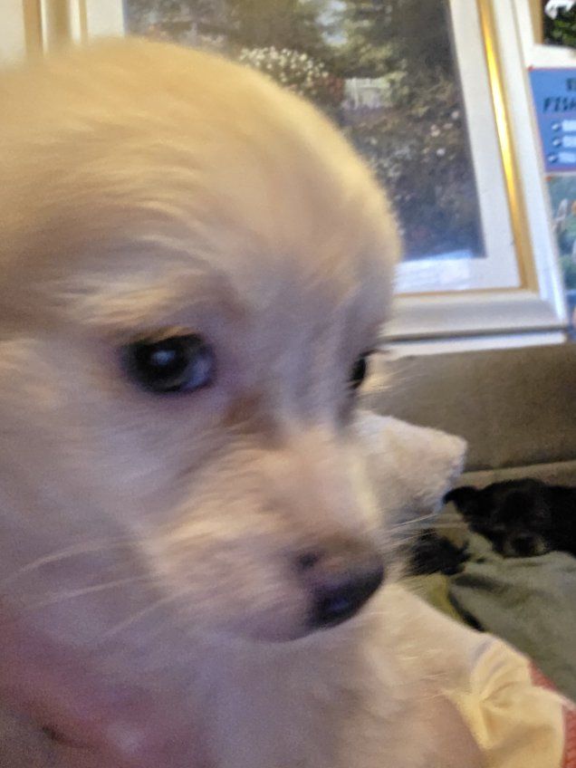Main image 17