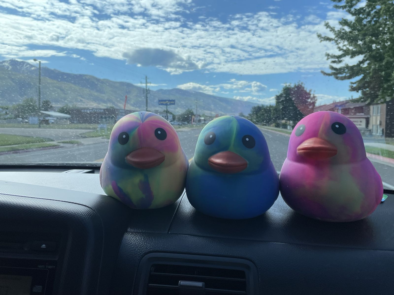 Viral duck squishes 15 each obo