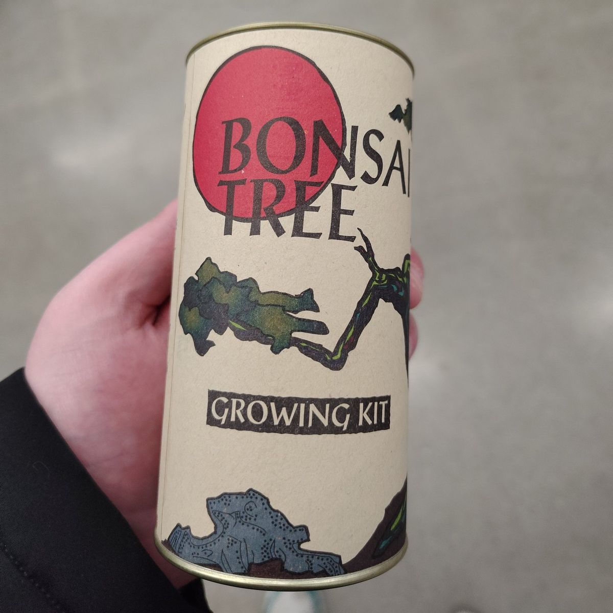 Bonsai tree growing kit