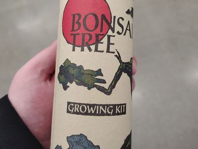 Bonsai tree growing kit