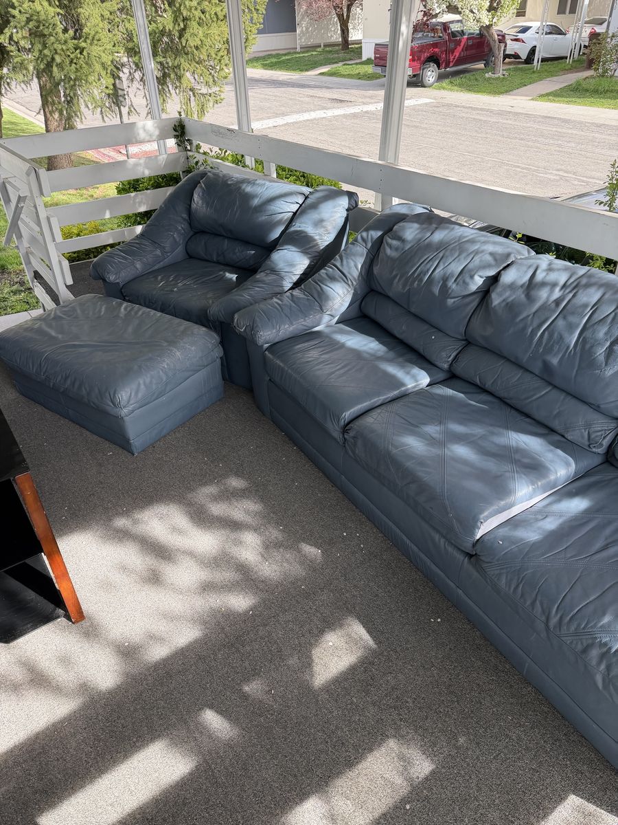 Blue Leather Couch