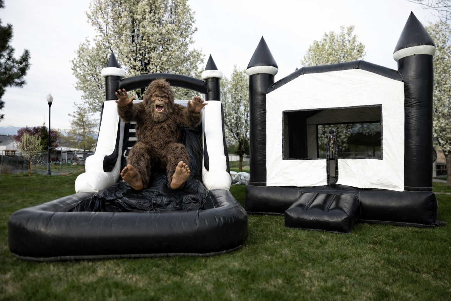 Black & White Water Slide Bounce House Rental