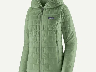 NWT Patagonia Nano Puff Hoody Ellwood Green 84228 FA25 - Women's Small S